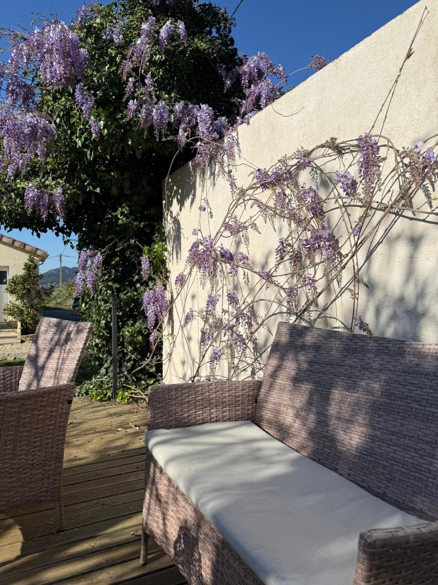 Gite climatisé pour 4 personnes avec piscine dans les hauteurs de Bollène Esterno foto